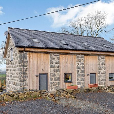 Brynkir Dutch Barn Two - Uk12873ヴィラ エクステリア 写真